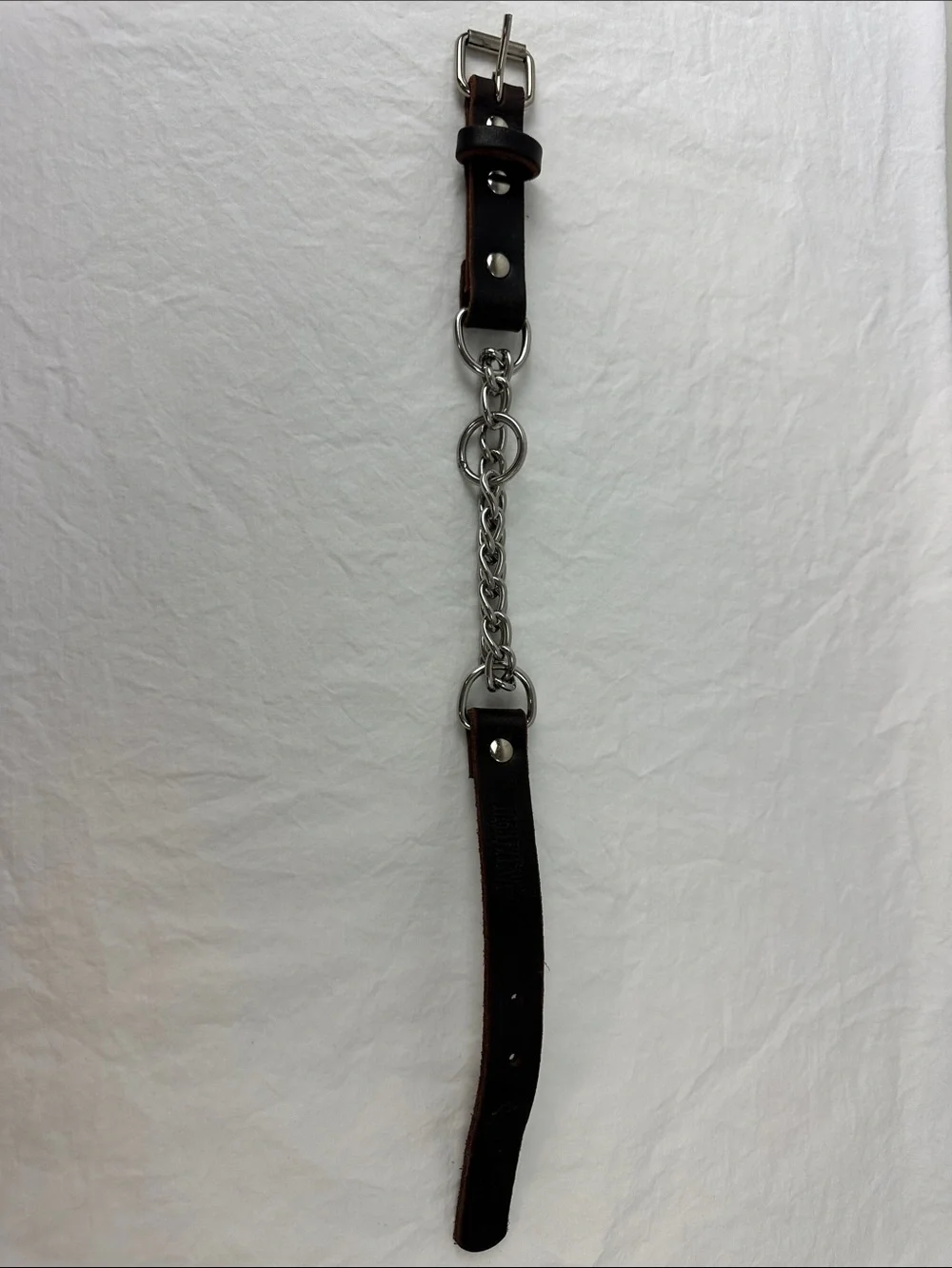 NWOT Mighty Paw Leather Martingale Dog Collar, Medium